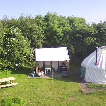 Mill Haven Place Glamping-Yurt 1 Talbenny Экстерьер фото