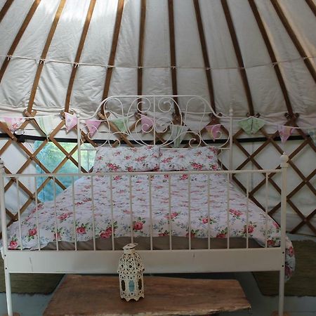 Mill Haven Place Glamping-Yurt 1 Talbenny Экстерьер фото