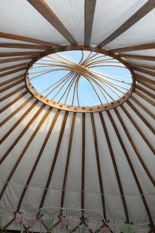 Mill Haven Place Glamping-Yurt 1 Talbenny Экстерьер фото