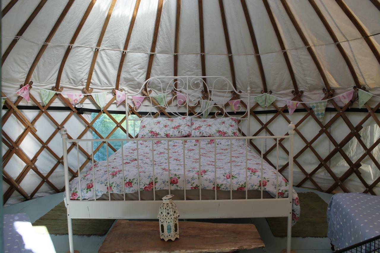 Mill Haven Place Glamping-Yurt 1 Talbenny Экстерьер фото