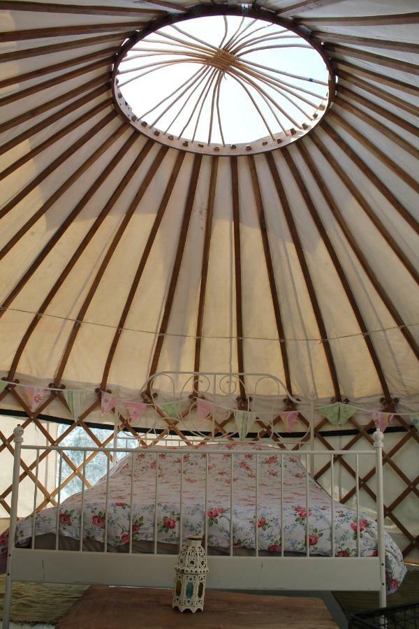 Mill Haven Place Glamping-Yurt 1 Talbenny Экстерьер фото